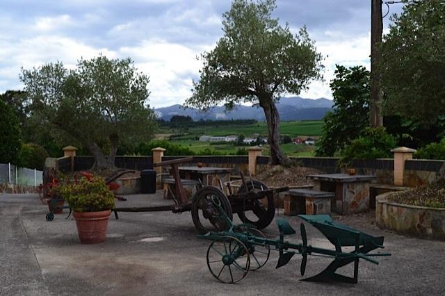 Apartamentos Rurales Casa Ron Coana エクステリア 写真