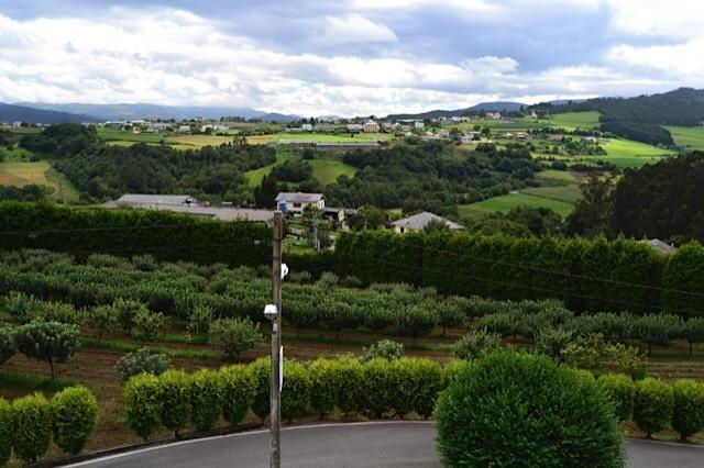 Apartamentos Rurales Casa Ron Coana エクステリア 写真