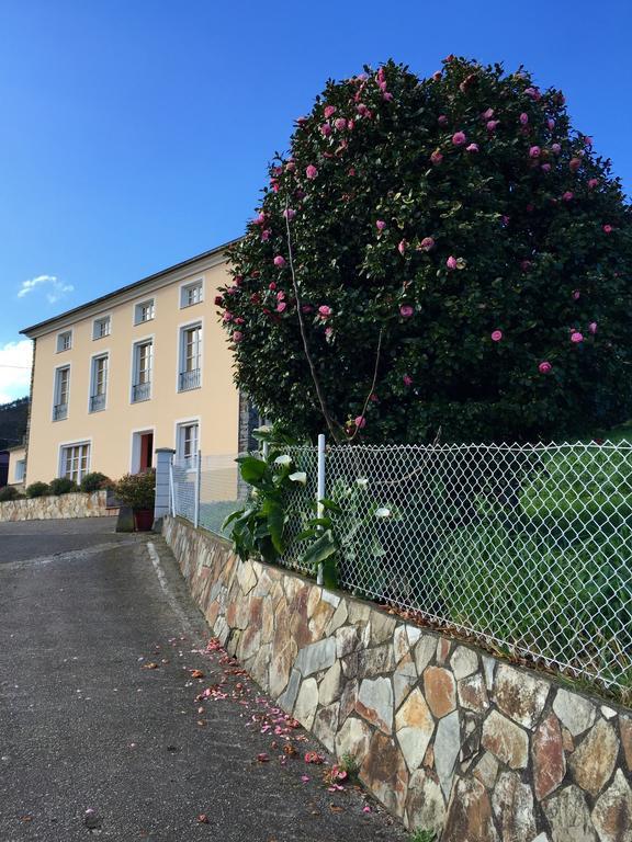 Apartamentos Rurales Casa Ron Coana エクステリア 写真